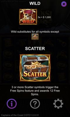 Wild and Scatter Rules