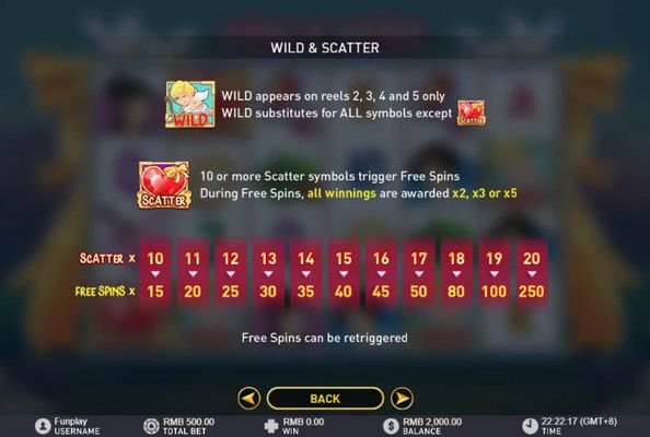 Wild and Scatter Rules