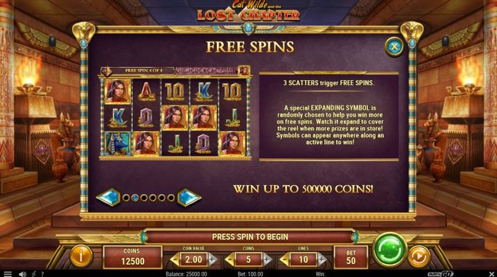 Free Spin Feature Rules