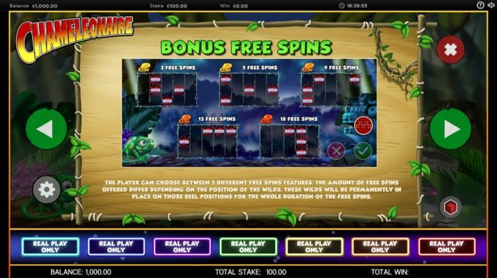 Free Spins Rules