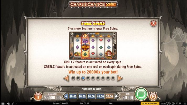 Free Spin Feature Rules