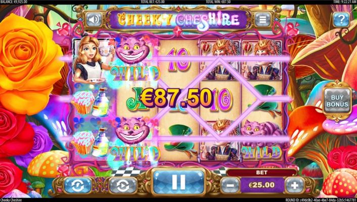 Multiple winning paylines