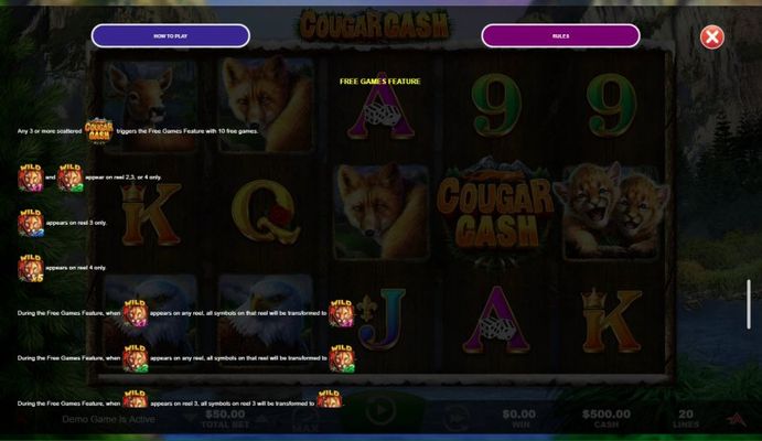 Feature Rules