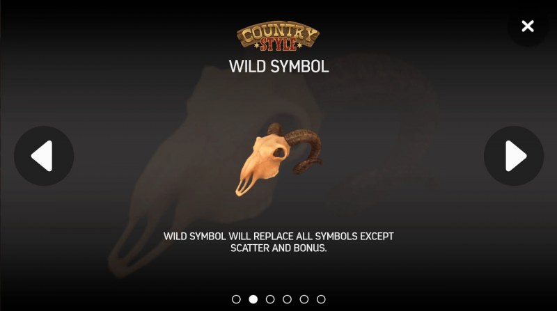 Wild Symbols Rules