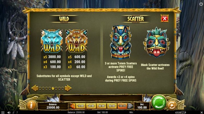Wild and Scatter Rules