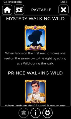 Wild Symbol