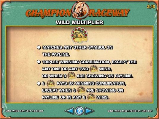 Wild Multiplier Rules