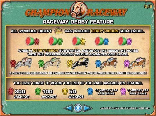 Raceway Derby Feature Rules