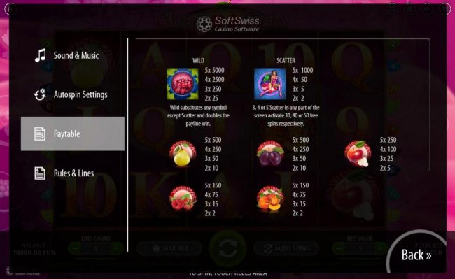 High value slot game symbols paytable.