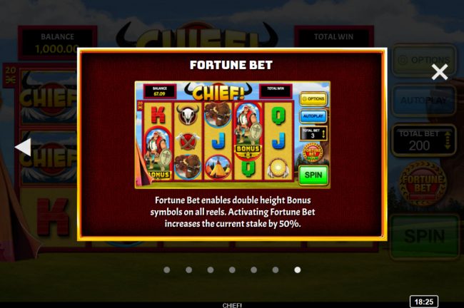 Fortune Bet