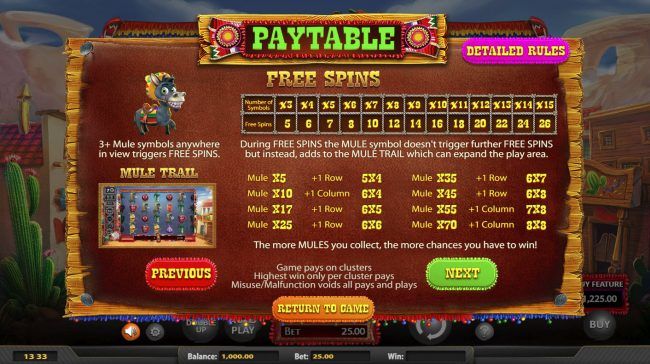 Free Spins Rules