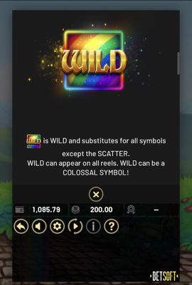 Wild Symbol