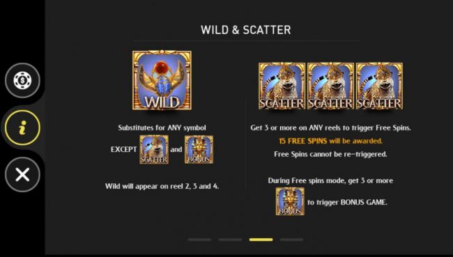 Wild and Scatter Symbols Rules and Pays