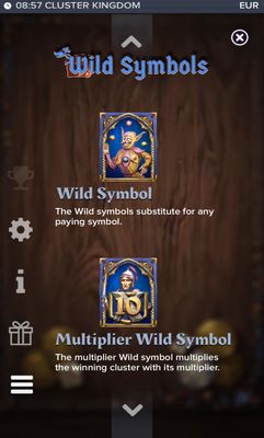 Wild Symbol