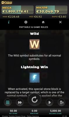 Wild Symbol