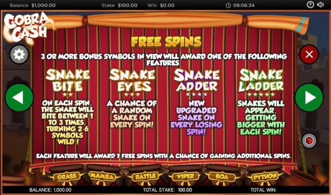 Free Spins Rules