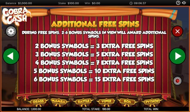 Free Spins Rules