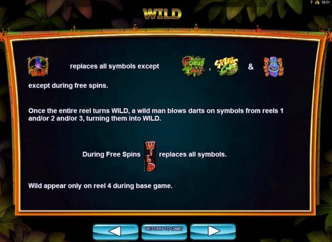 Wild replaces all symbols except Conga Party, Spins and Mask Bonus symbols, except during free spins.