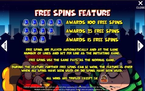 how to play free spins feature and paytable