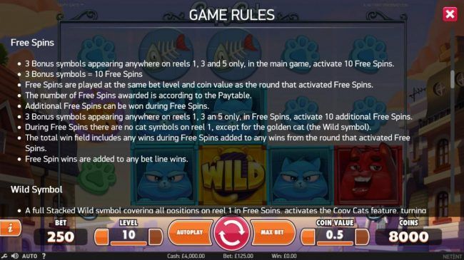 Free Spins Rules