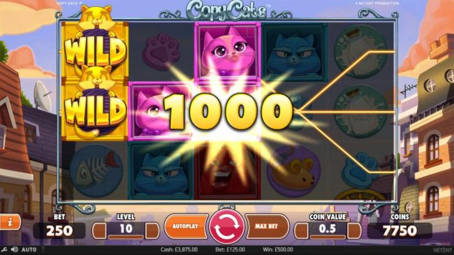Multiple winning paylines triggers a 1000 coin big win!