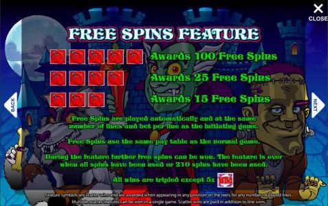 free spins feature game rules