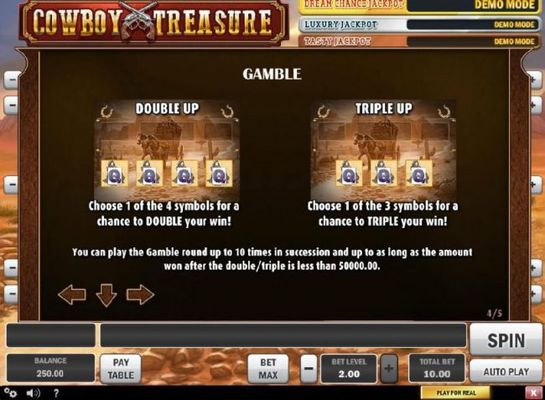 Double Up and Triple Up gamble feature available after any winning spin.