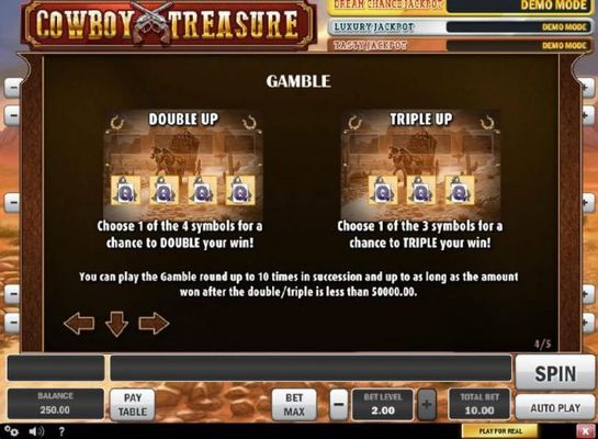 Double Up and Triple Up gamble feature available after any winning spin.