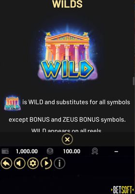 Wild Symbol