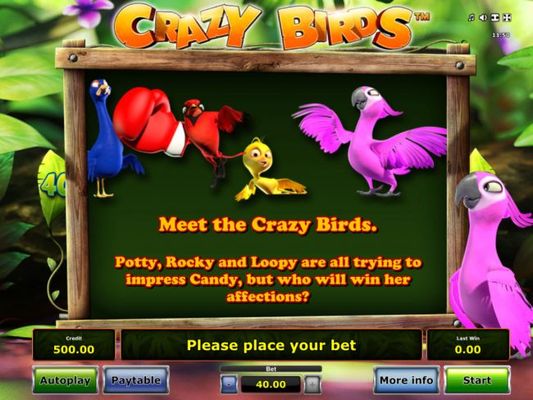 Meet the Carzy Birds