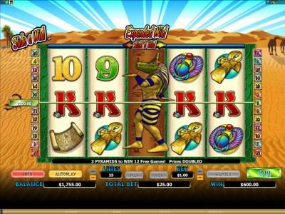 expanded wild on reel 3 triggers a 600 coin big win