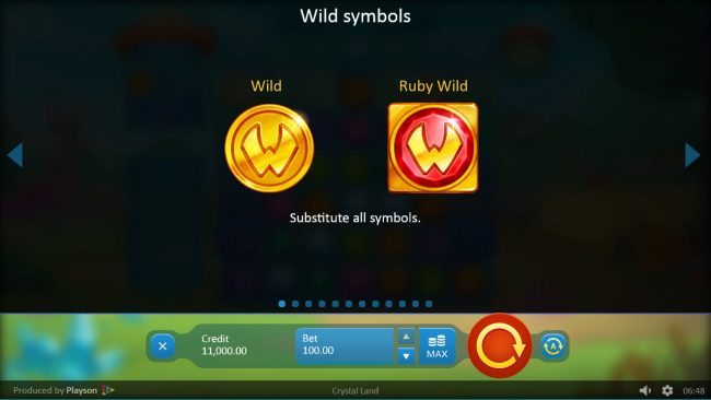 Wild Symbol Rules