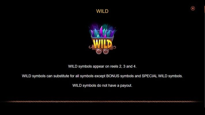 Wild Symbol