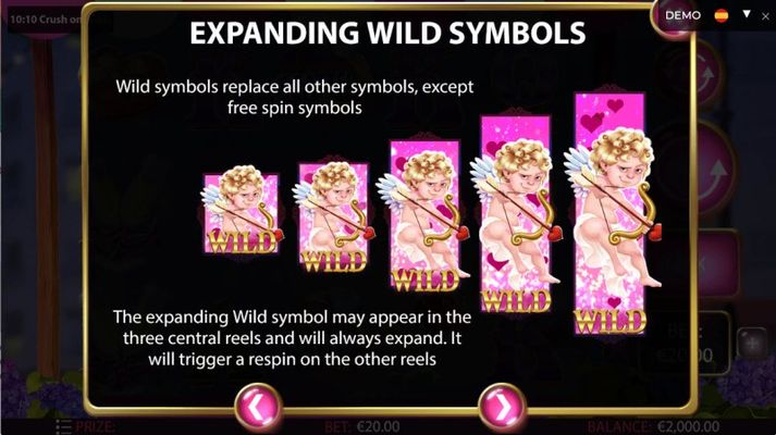 Wild Symbol