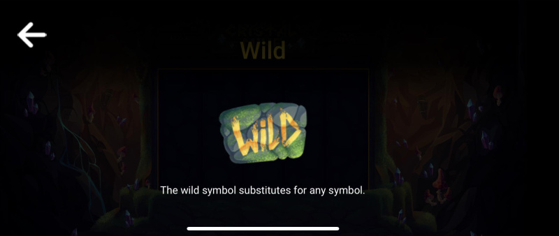 Wild Symbol