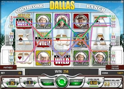 multiple winning paylines triggers a 256 coin jackpot