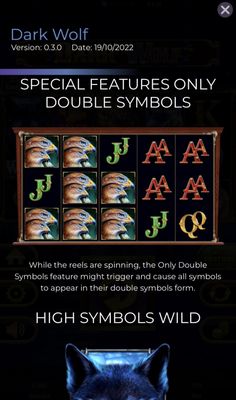 Double Symbols