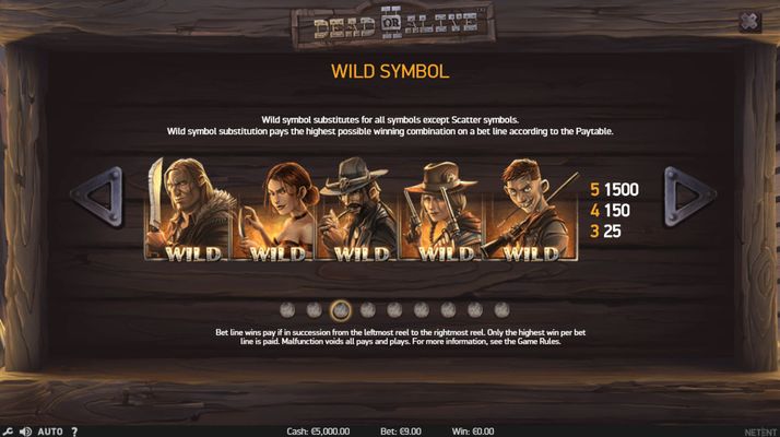 Wild Symbols Rules