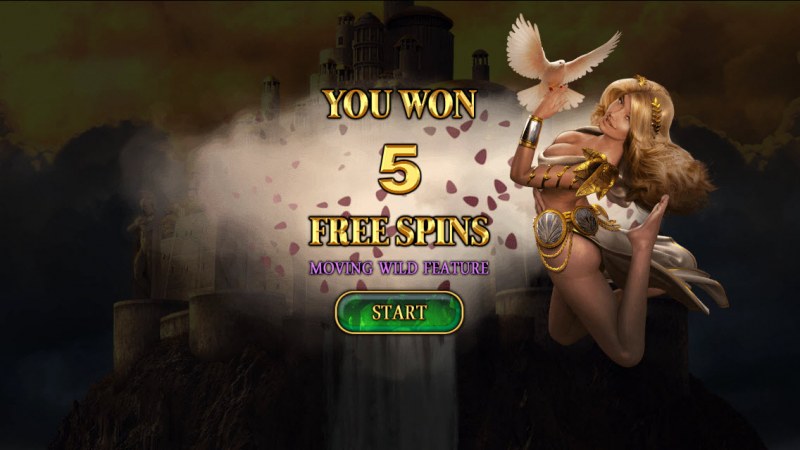 5 Free Spins Awarded