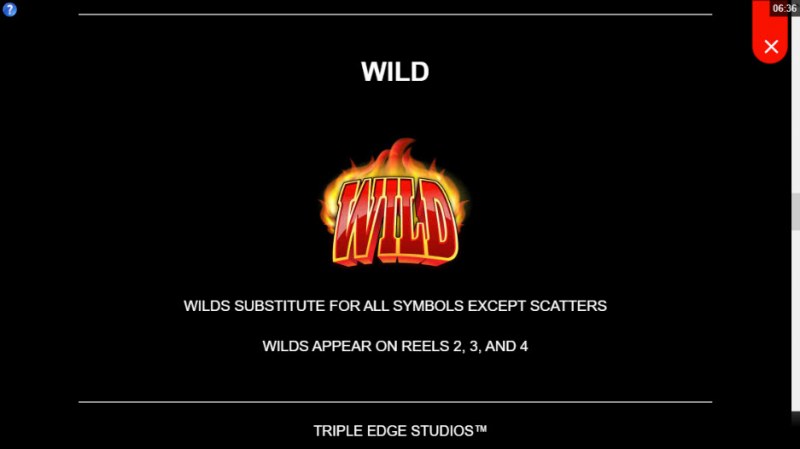 Wild Symbols Rules