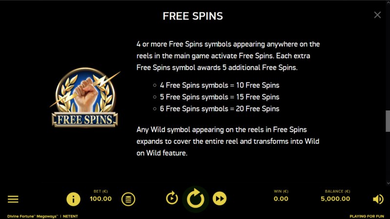 Free Spin Feature Rules