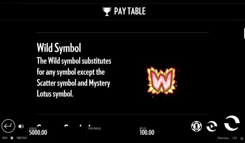 Wild Symbols Rules