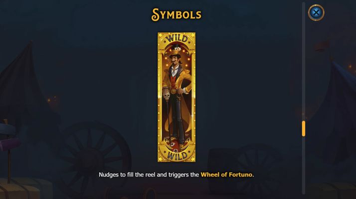 Wild Symbols Rules