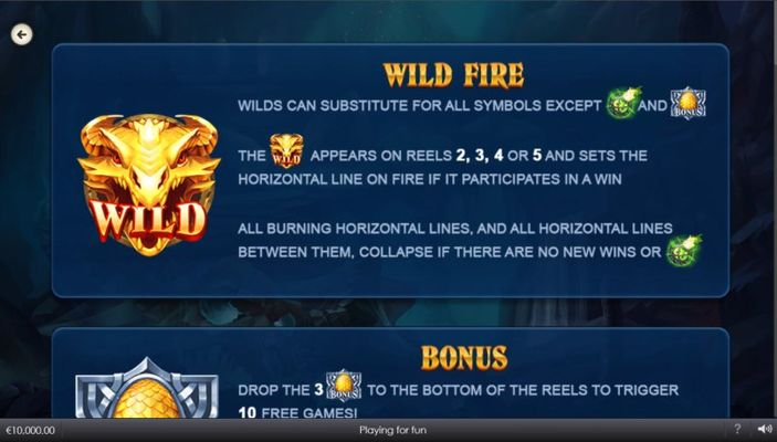 Wild Symbol Rules