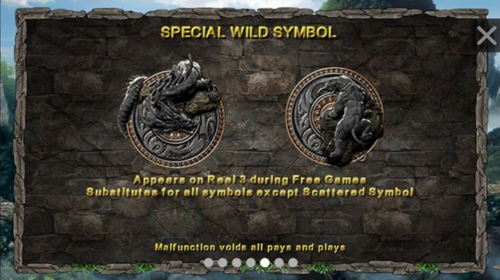 Special Wild Symbols