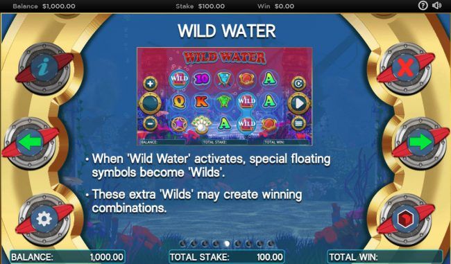 Wild Water Feature