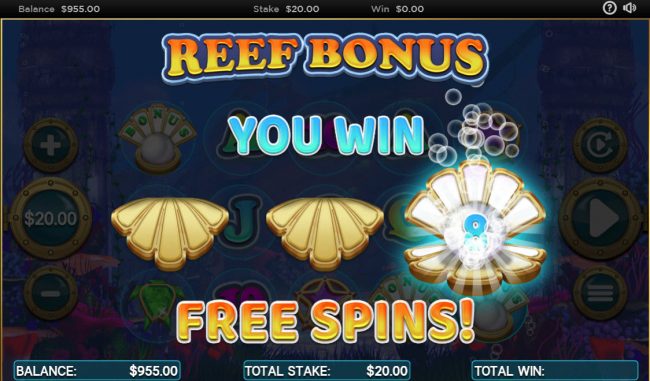 8 Free Spins Awarded