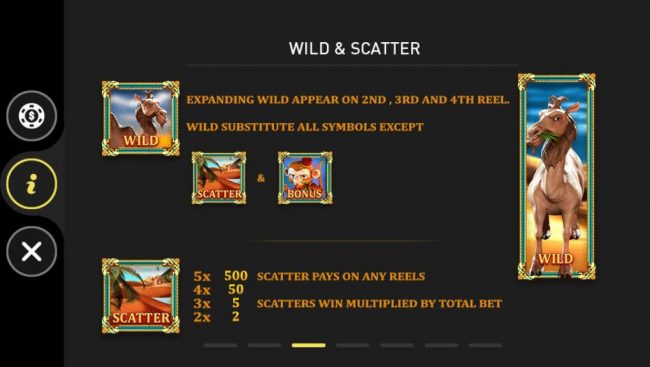 Wild and Scatter Symbols Rules and Pays