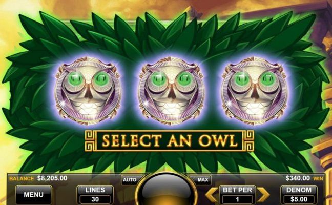 Select an owl
