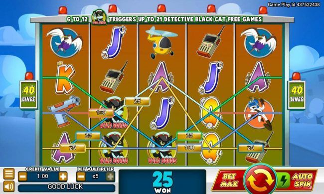 Multiple Winning Paylines Triggers A Big Win